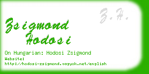 zsigmond hodosi business card